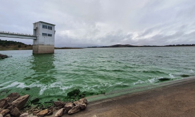 Bahía Blanca - Volvieron las algas y ABSA restringe el servicio
